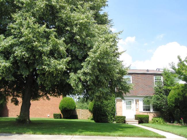 Novi Real Estate. Olde Orchard Condo Complex in Novi Mi 48375
